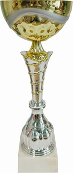 Кубок 634