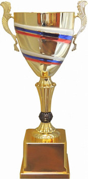 Кубок 613